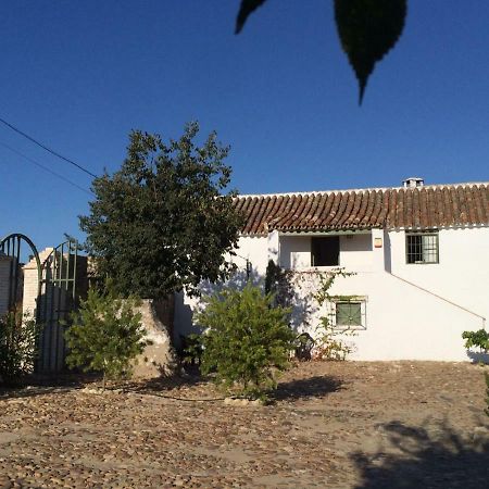 منزل الضيف Almodóvar del Río  في Casa Del Almezo المظهر الخارجي الصورة